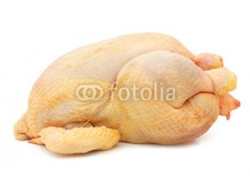 Fresh-chicken-fresh-hen-.jpg